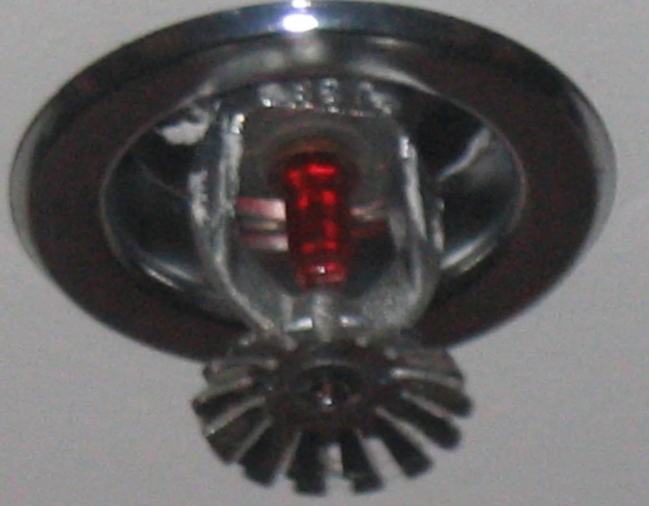 Fire Sprinkler Cleanup in Las Vegas, NV