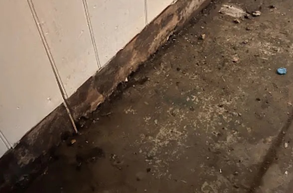 Hoarding Cleanup in Las Vegas, NV