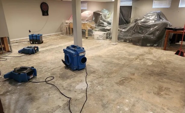 Sanitization & Disinfection Services in McNeil, NV
